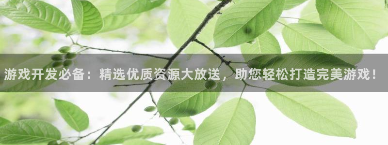 游戏开发必备：精选优质资源大放送，助您轻