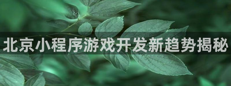 北京小程序游戏开发新趋势揭秘