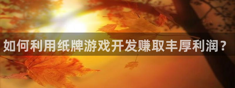 如何利用纸牌游戏开发赚取丰厚利润？