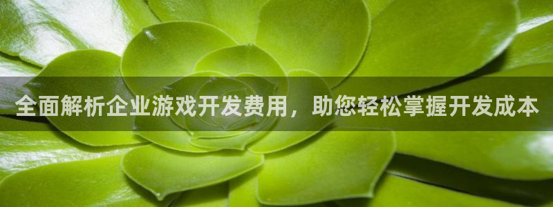 沐鸣网址注册：全面解析企业游戏开发费用，