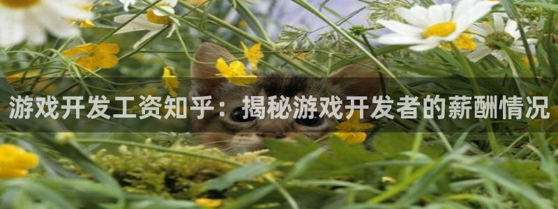 沐鸣娱乐1注册登录平台：游戏开发工资知乎