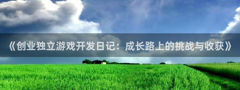 沐鸣平台总代理是谁：《创业独立游戏开发日