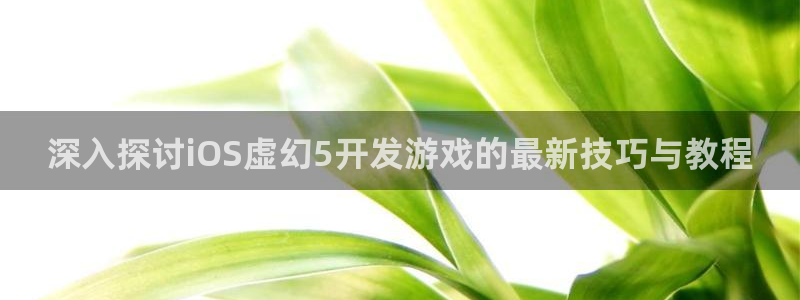 沐鸣1平台招商：深入探讨iOS虚幻5开发
