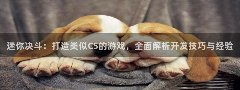 沐鸣娱乐注册网站：迷你决斗：打造类似CS