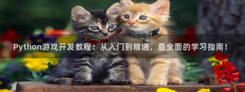 沐鸣4招商：Python游戏开发教程：从