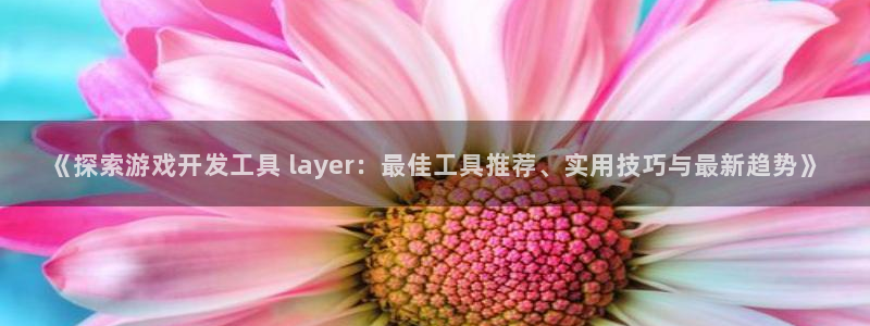 沐鸣代理登陆：《探索游戏开发工具 lay
