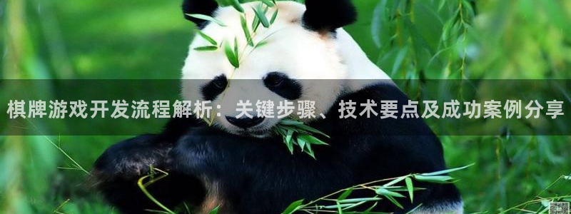 沐鸣平台负责人：棋牌游戏开发流程解析：关