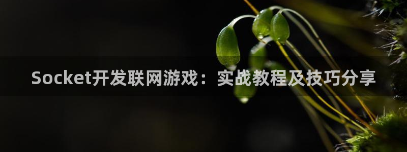 沐鸣平台代理注册：Socket开发联网游