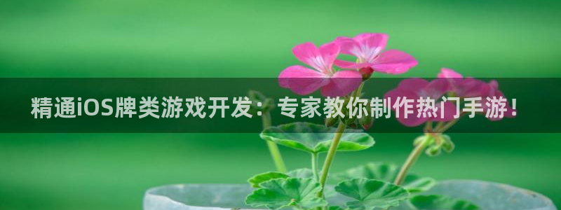 沐鸣科技游戏app：精通iOS牌类游戏开