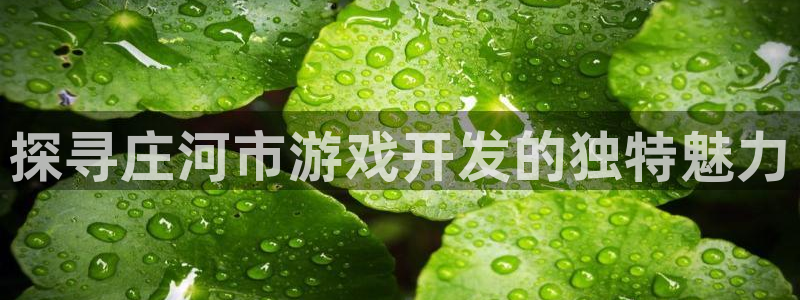 沐鸣注册登录：探寻庄河市游戏开发的独特魅