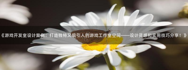 沐鸣娱乐股东：《游戏开发室设计案例：打造