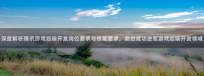 沐鸣科技有限公司官网：深度解析腾讯游戏后