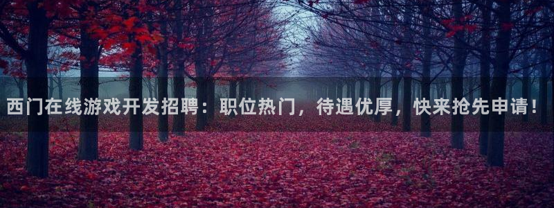 沐鸣科技怎么样：西门在线游戏开发招聘：职