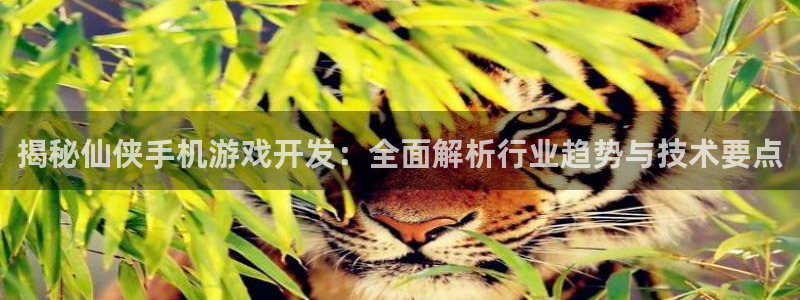 沐鸣娱乐平台登录入口下载安卓：揭秘仙侠手