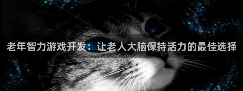 沐鸣平台代理注册：老年智力游戏开发：让老