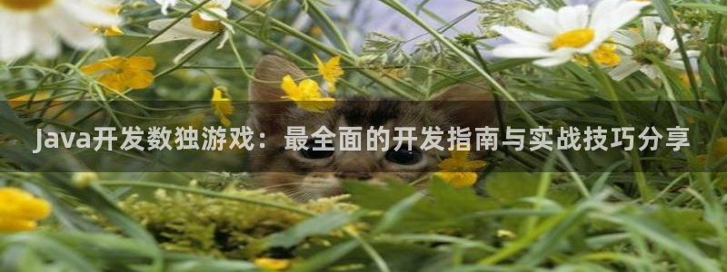 沐鸣平台代理：Java开发数独游戏：最全