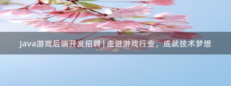 沐鸣4注册：Java游戏后端开发招聘 |