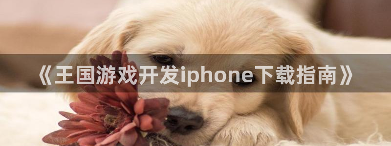 沐鸣娱乐官方网站下载：《王国游戏开发ip