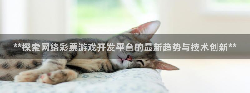 沐鸣娱乐平台大不大呀：**探索网络彩票游