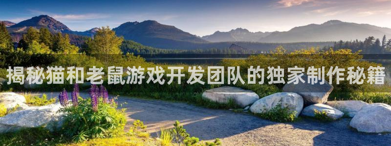 沐鸣娱乐平台登录网址：揭秘猫和老鼠游戏开