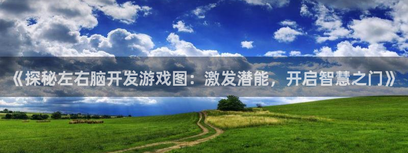 沐鸣娱乐官网首页：《探秘左右脑开发游戏图