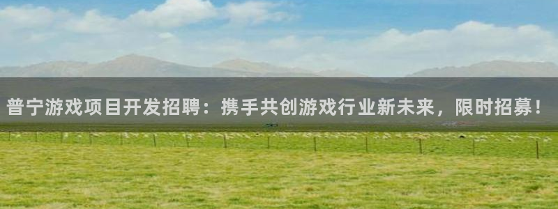 沐鸣1平台：普宁游戏项目开发招聘：携手共