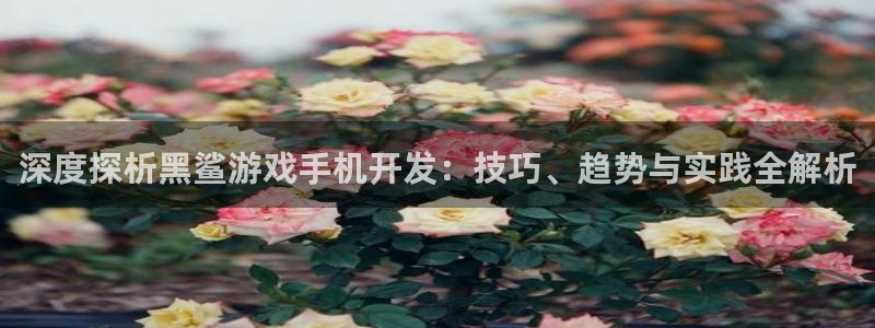 沐鸣注册入口：深度探析黑鲨游戏手机开发：