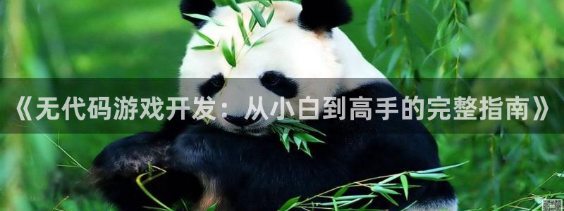 沐鸣娱乐招商：《无代码游戏开发：从小白到