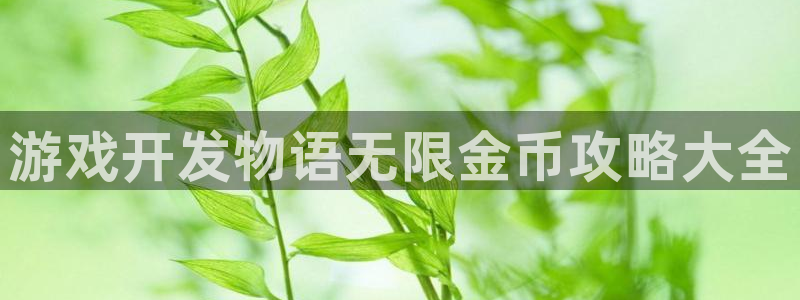 沐鸣文化传媒有限公司：游戏开发物语无限金