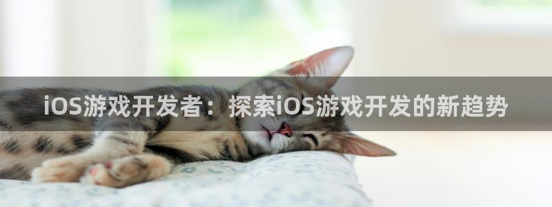 沐鸣平台矩58847：iOS游戏开发者：