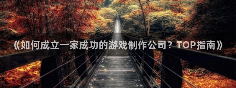 沐鸣平台是黑平台吗：《如何成立一家成功的