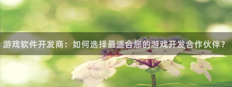 沐鸣娱乐1登录：游戏软件开发商：如何选择
