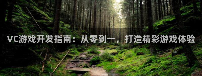 沐鸣娱乐平台怎么样：VC游戏开发指南：从
