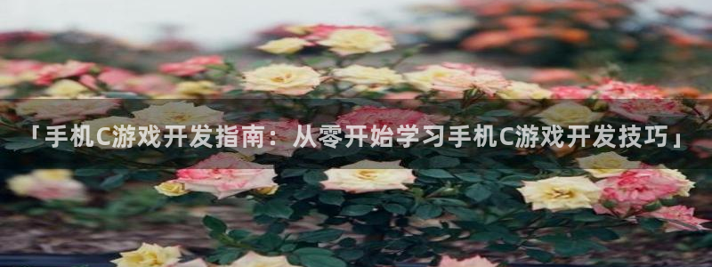 沐鸣科技和沐瞳科技哪个好：「手机C游戏开