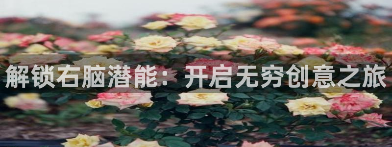 沐鸣平台代理注册：解锁右脑潜能：开启无穷