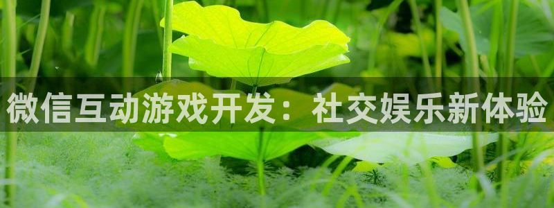 沐鸣注册开户：微信互动游戏开发：社交娱乐