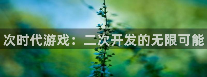 沐鸣在线登录注册：次时代游戏：二次开发的