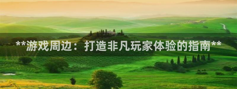 沐鸣网站：**游戏周边：打造非凡玩家体验