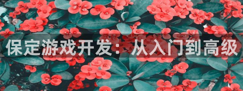 沐鸣网站：保定游戏开发：从入门到高级