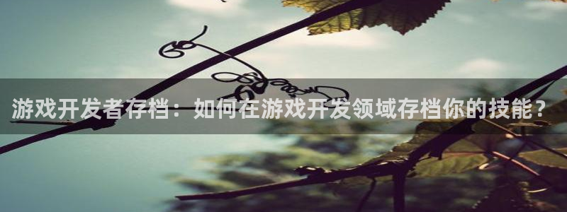沐鸣平台官网：游戏开发者存档：如何在游戏