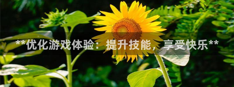 沐鸣登录地址：**优化游戏体验：提升技能