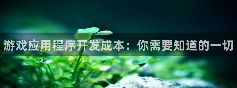 沐鸣科技有哪些产品卖：游戏应用程序开发成