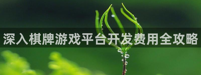 沐鸣平台代理注册多少钱一年啊：深入棋牌游