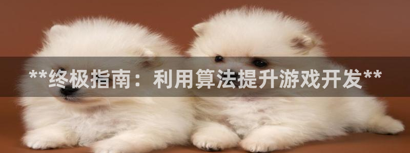 沐鸣注册注册：**终极指南：利用算法提升