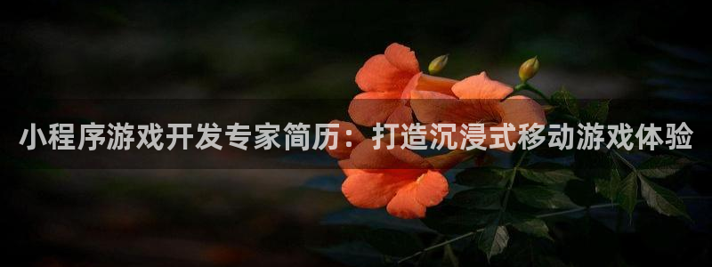 沐鸣娱乐官网首页：小程序游戏开发专家简历