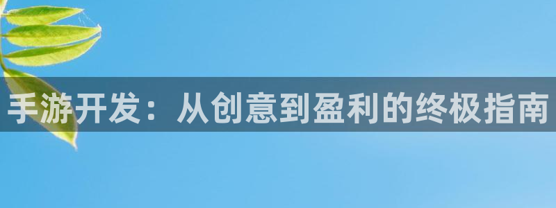 沐鸣游戏~53866：手游开发：从创意到