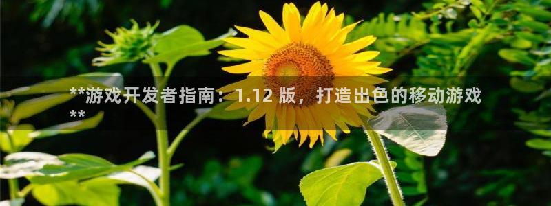 沐鸣平台总代理是谁：**游戏开发者指南：