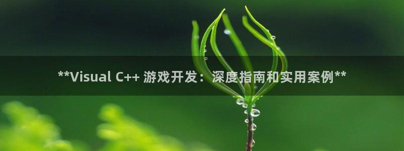 沐鸣娱乐平台怎么样：**Visual C
