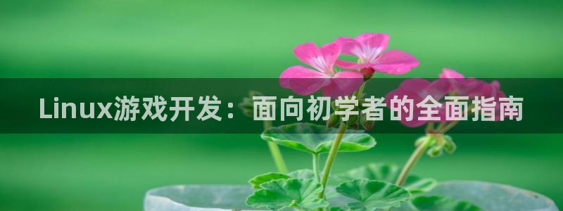 沐鸣平台注册资金多少亿：Linux游戏开