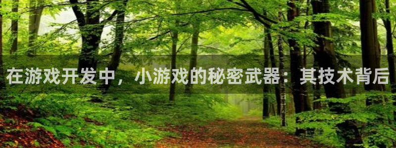 沐鸣娱乐账号怎么注册：在游戏开发中，小游